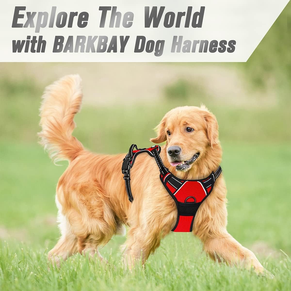No - Pull Dog Harness – Front Clip, Reflective, Heavy Duty with Handle for Large Dogs - Paw Fit Gears