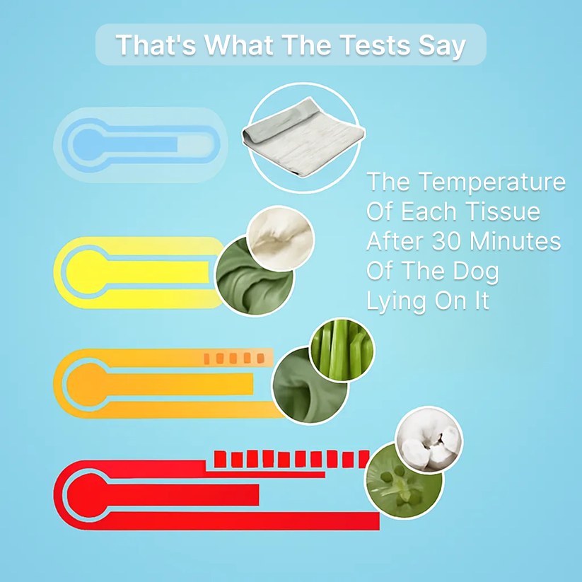 The innovative cooling mat for dogs